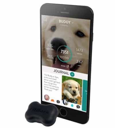 Best Dog Activity Monitor: Whistle vs FitBark vs Link AKC 1 FitBark is our top pick