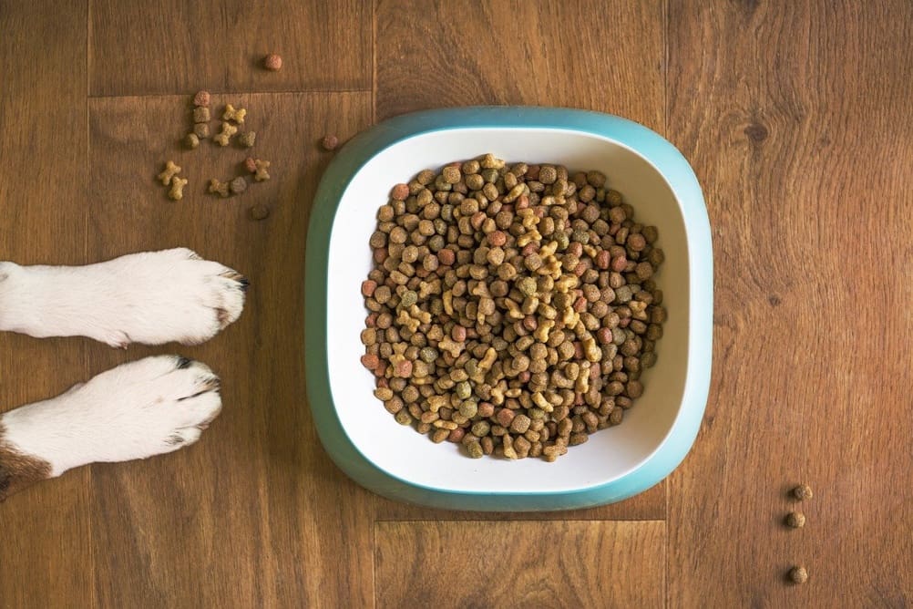 Commercial Dog Food Alternatives Best Options for 2024