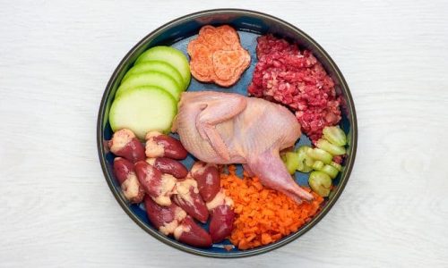 Homemade Dog Food Recipes: Vet Approved for 2024